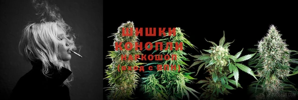 винт Надым